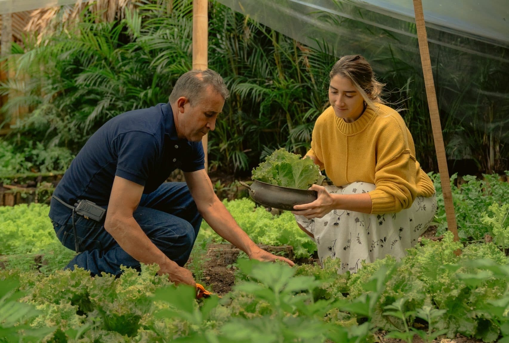 Organic garden